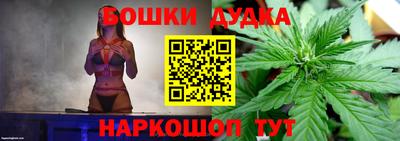 шишки Будённовск
