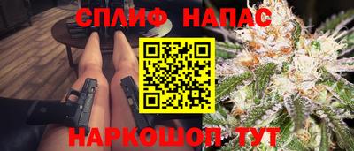 шишки Будённовск