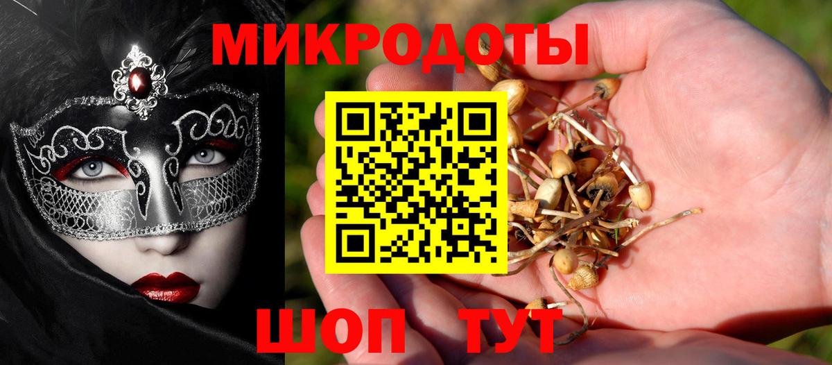 Бугуруслан  где найти наркотики  Вход с VPN  Псилоцибиновые грибы прущие грибы  Псилоцибиновые грибы Psilocybine cubensis 